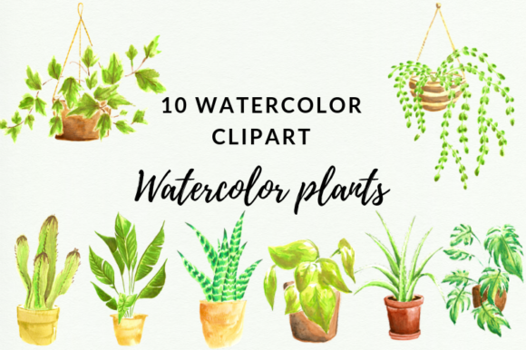 10 Indoor Plants Watercolor Clipart & Illustrations
