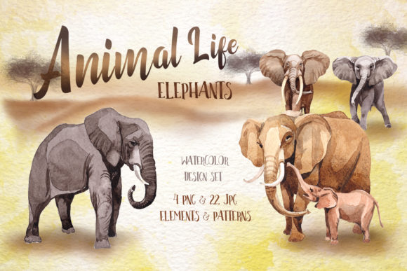 Animal Life Elephants Watercolor Set Illustrations