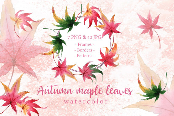 Autumn Maple Leaves Watercolor Set Illustrations