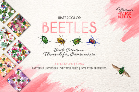 Beetle Cetoniinae, Flower Watercolor Review