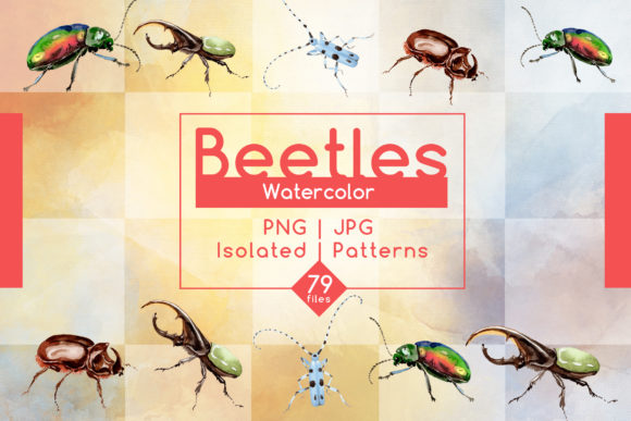 Beetles Watercolor Set: Natural Illustrations