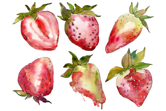 Berry Strawberry Watercolor Embroidery Review