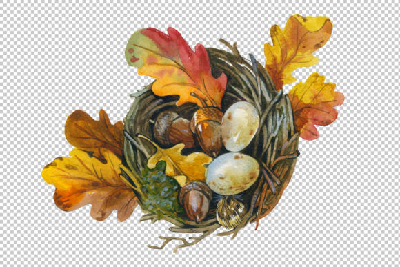 Bird s Nest Watercolor Set Illustrations