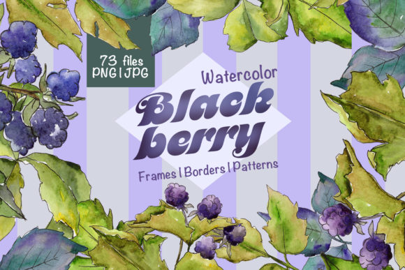 Blackberry Watercolor Set: Fresh Illustrations