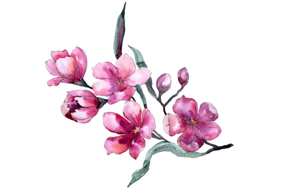 Bouquet of Flowers Fiona Pink Watercolor Illustrations