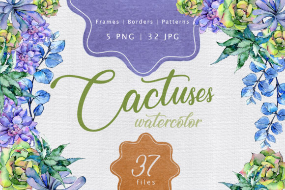 Colorful Cactuses Watercolor Set Illustrations