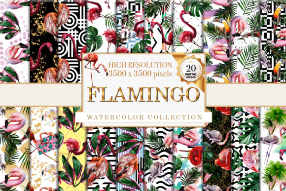 Colorful Watercolor Patterns & Illustrations