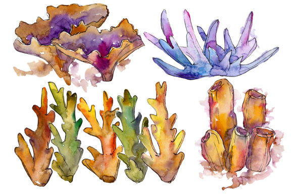 Corals Joy of Nature Watercolor Illustrations