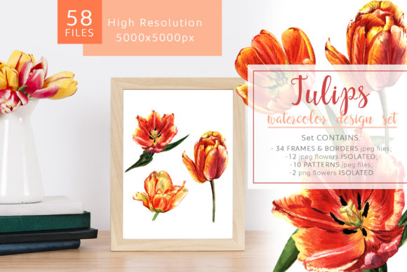 Fire Tulips Watercolor Set: Vibrant Illustrations