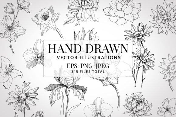 Freesia Flower Watercolor Illustrations Review