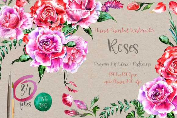 Holiday Pink Roses Watercolor Set Review