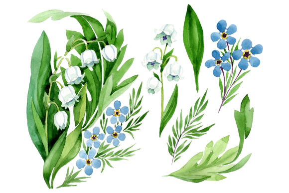 Lily of the Valley and Forget-me-nots Watercolor Illustrations
