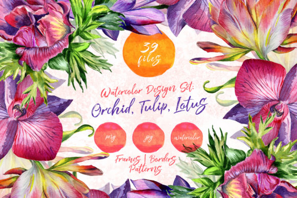 Mix of Flowers Watercolor Set & Illustrations