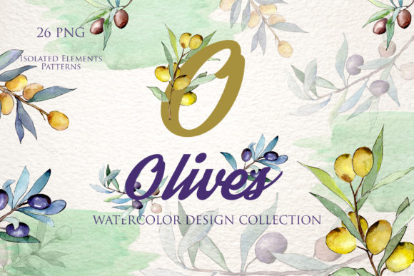 Olive Branch Green Watercolor Illustrations