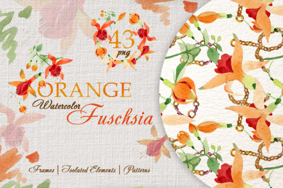 Orange Fuschsia Flower Watercolor Illustrations