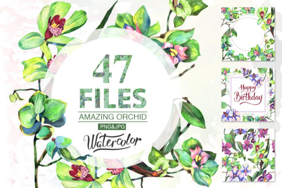 Orchid Green Flowers Watercolor Set & Illustrations