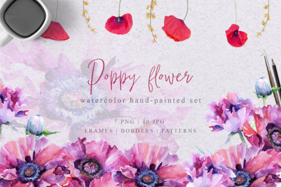 Pink Poppy Flower Watercolor Set Illustrations