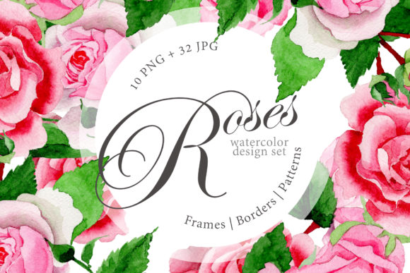Pink Roses Watercolor Design Set & Illustrations