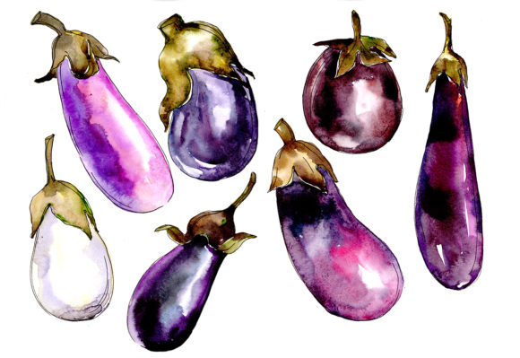 Purple Eggplant Vegetables Watercolor Set Review