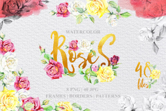 Rose Technique Watercolor Illustrations Review