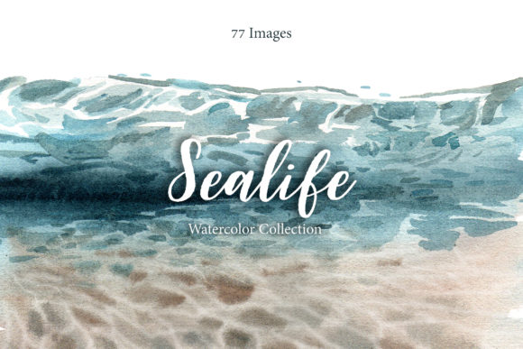 Sealife in the Ocean Watercolor Set Review