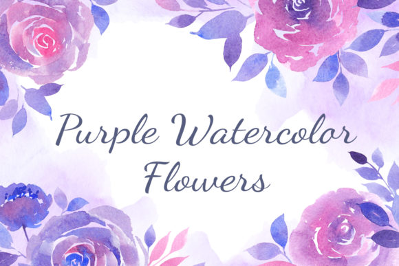 Set of Watercolor Purple Roses Review