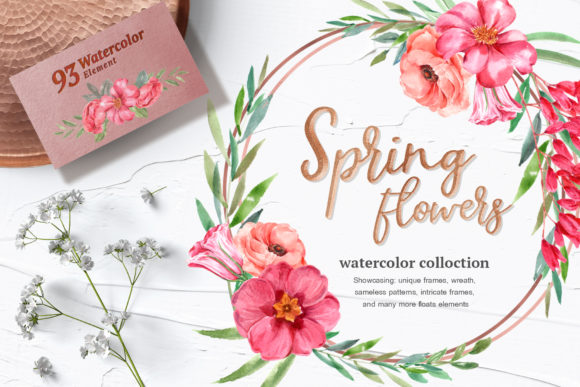 Spring Blossoms Watercolor Set: Illustrations Review