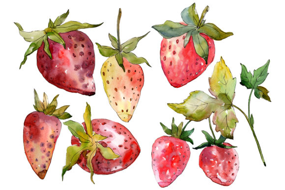 Strawberry Kimberly Watercolor Embroidery Review
