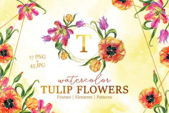 Super Tulip Red Flowers Watercolor Illustrations