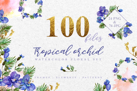Tropical Orchid Watercolor Illustrations Review