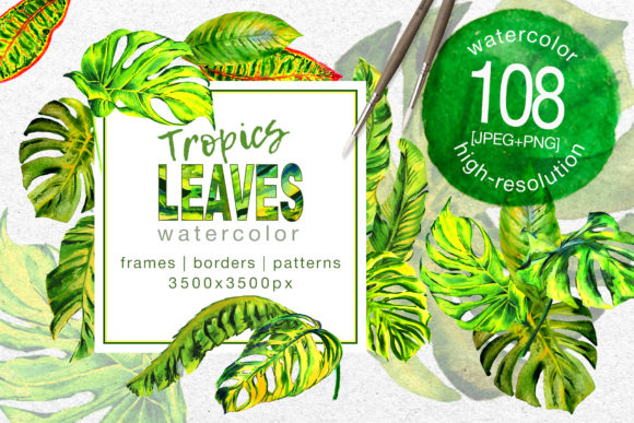 Tropics Leaves Monstera Watercolor Set Illustrations
