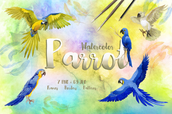 Watercolor Cool Parrot Bird Set Illustrations