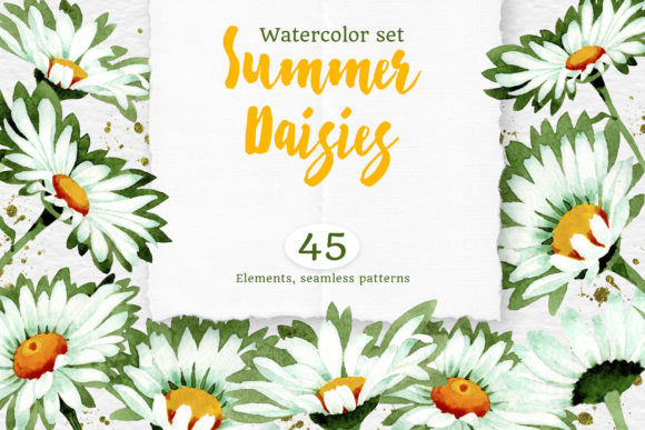 Watercolor Daisy White Flower Illustrations