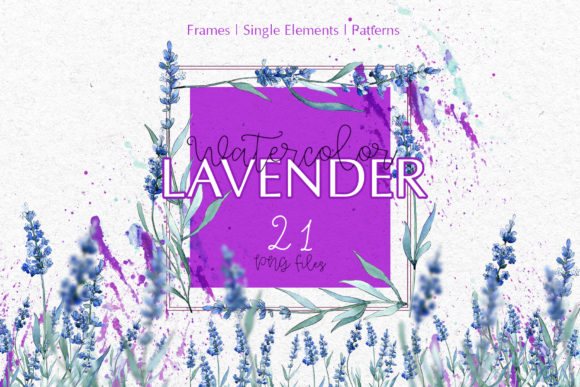 Watercolor Lavender Violet Floral Set Illustrations