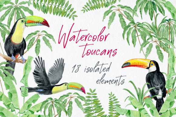 Watercolor Toucans and Tropical Leaves Illustrations