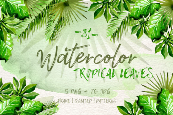 Watercolor Tropical Leaves Set: A Designer Review