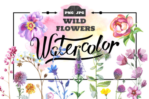 Wild Flowers Watercolor Set & Illustrations
