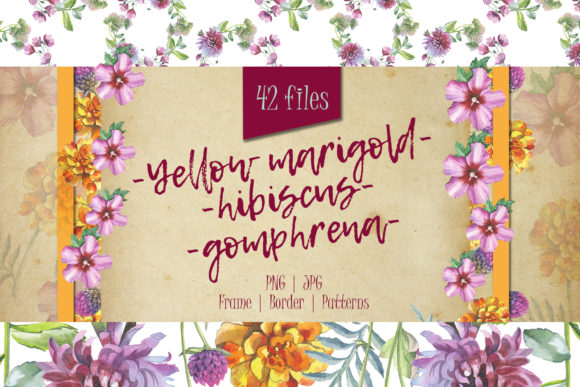 Wildflower Watercolor Set & Illustrations