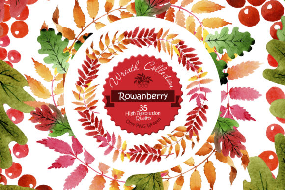 Wreath Collection Watercolor Set Illustrations Review